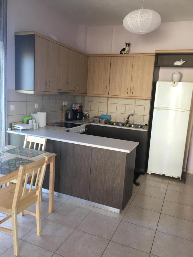 180 Degree Sea View Apartment Палиохора Екстериор снимка
